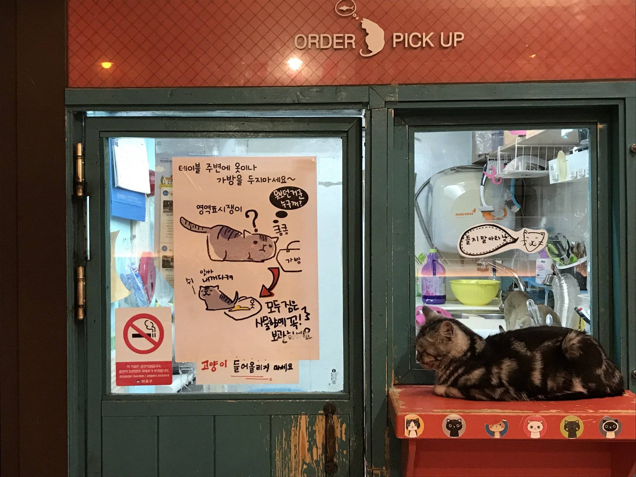 Visiting Tom's Cat Cafe in Seoul