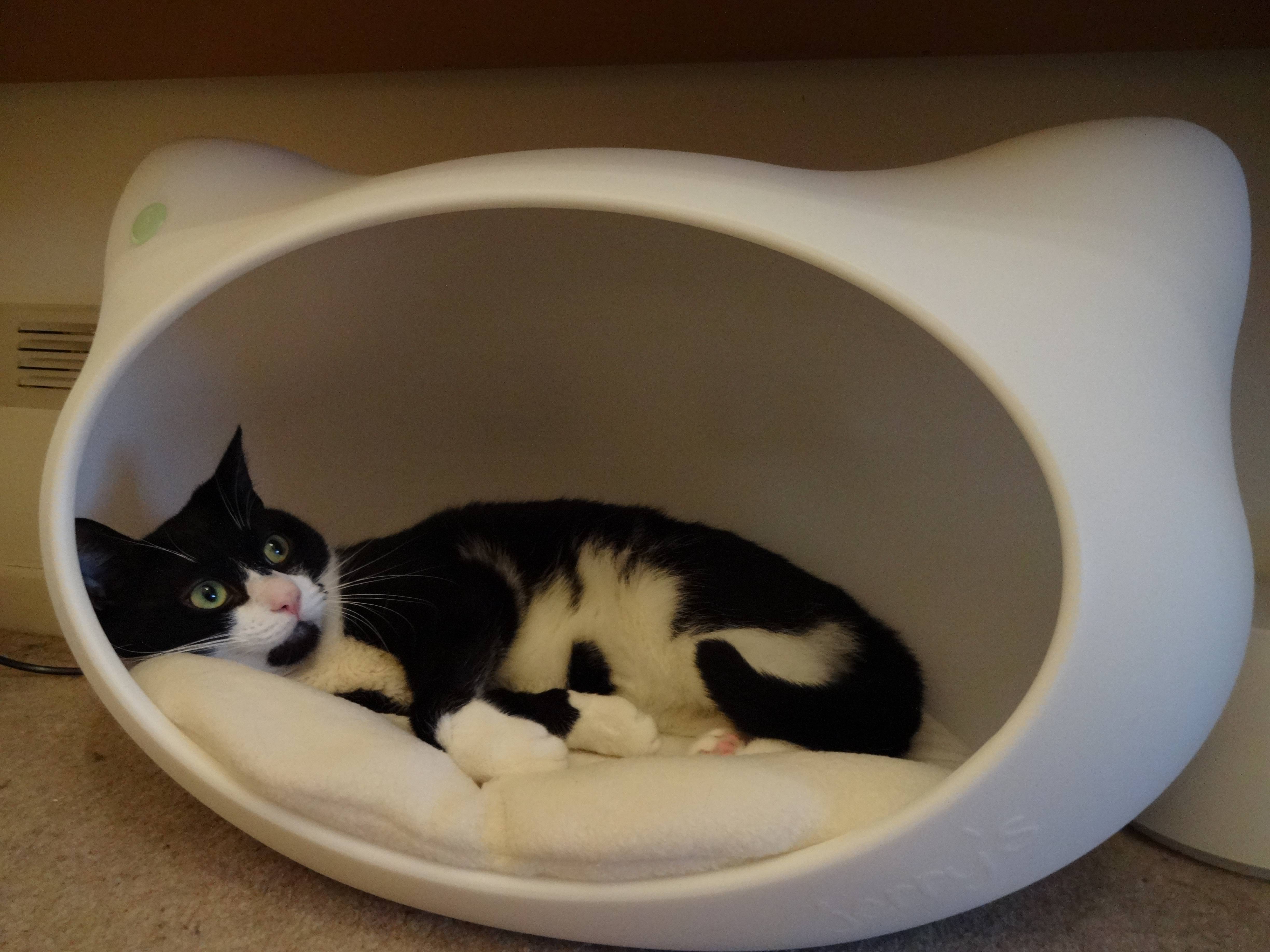 Product Review A pawsome cat cave by jerry s Katzenworld