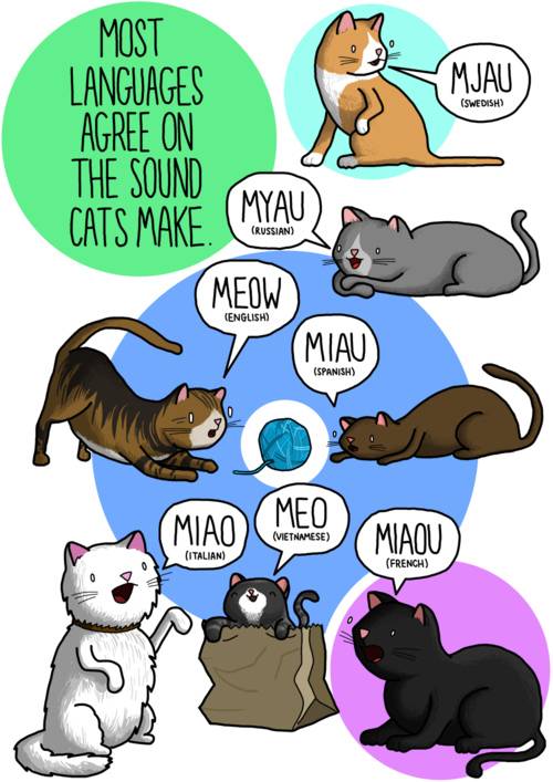 mews-most-languages-agree-on-the-sound-cats-make-but-katzenworld