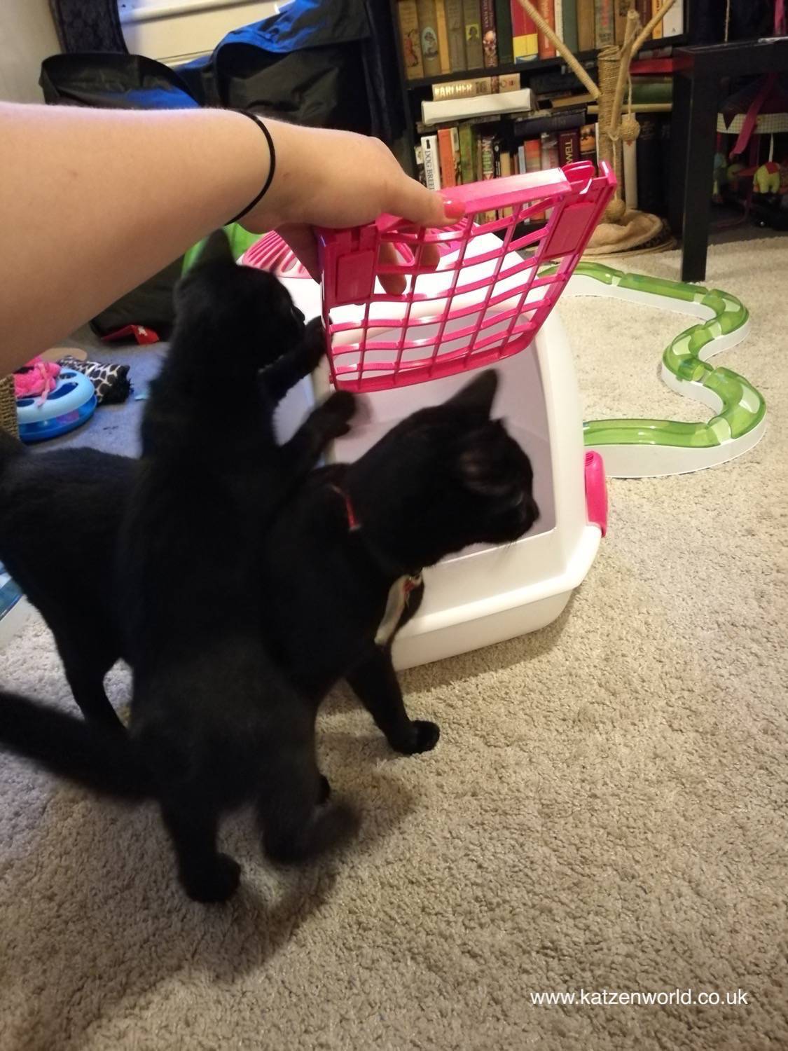 No, that's my litter!
