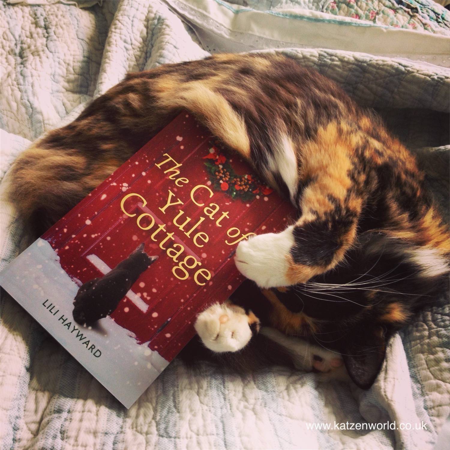 The Cat of Yule Cottage by Lili Hayward