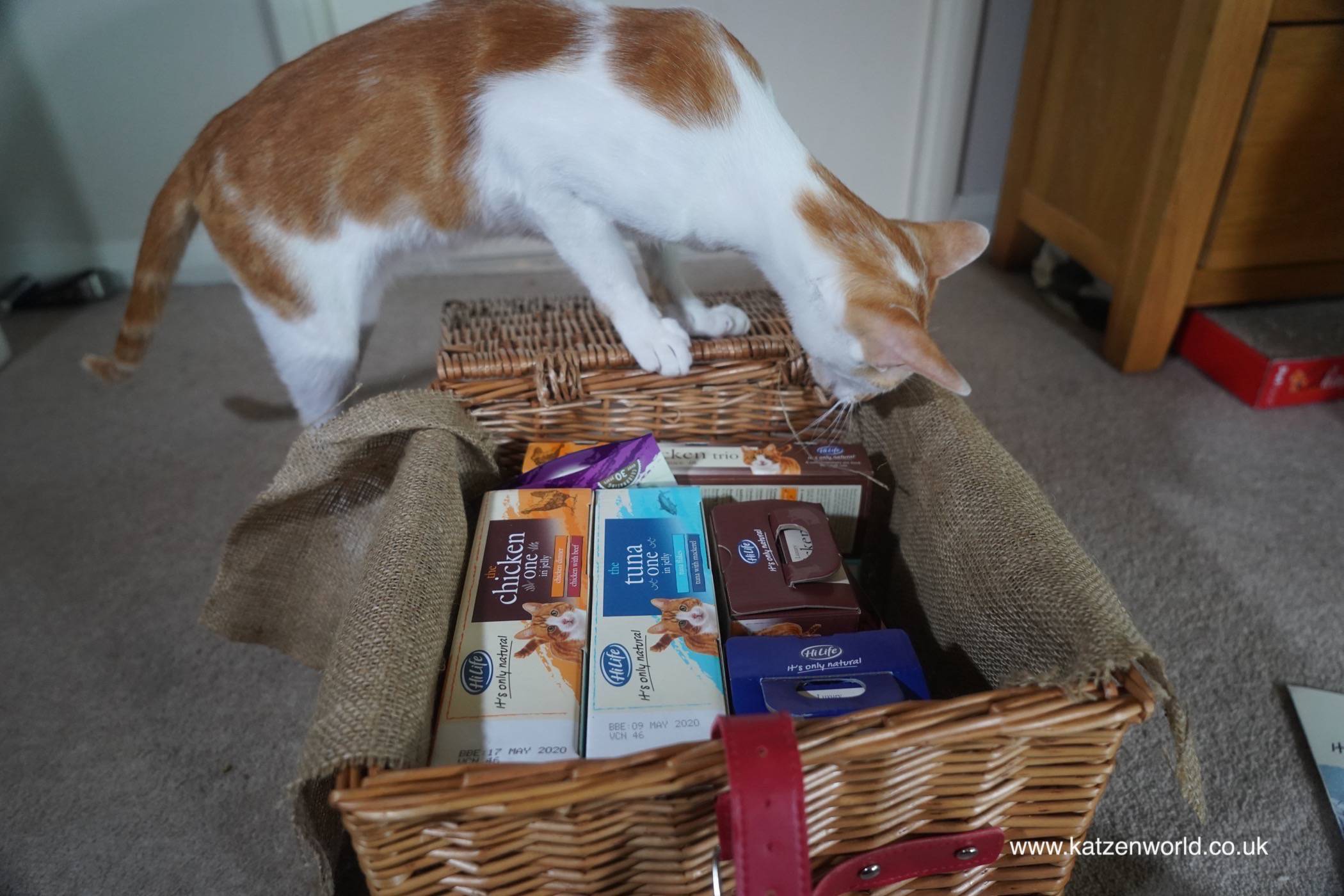 jelly cat hamper