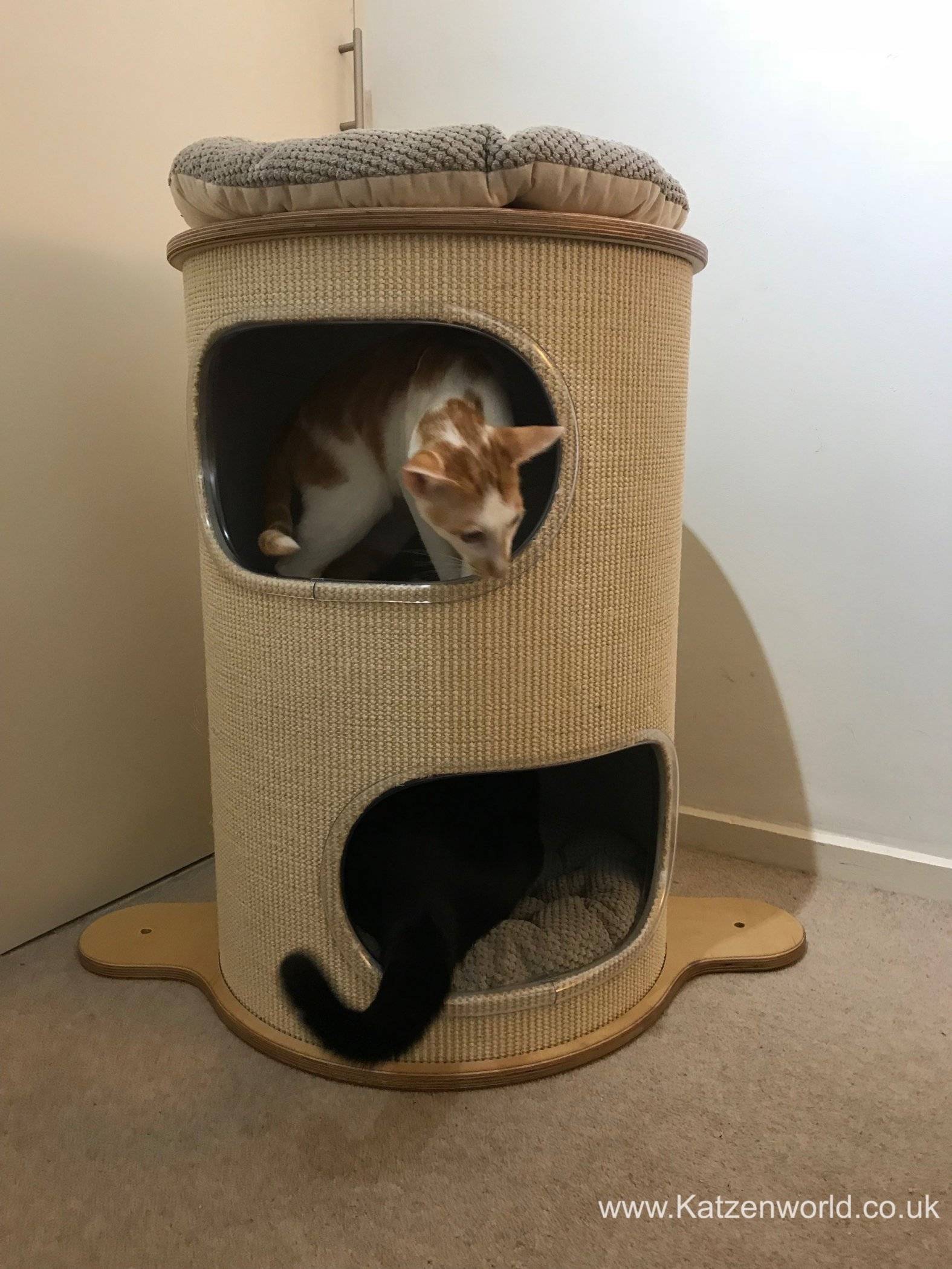 Renegade: Watch us assemble the new Scratch Tower with our humans ...