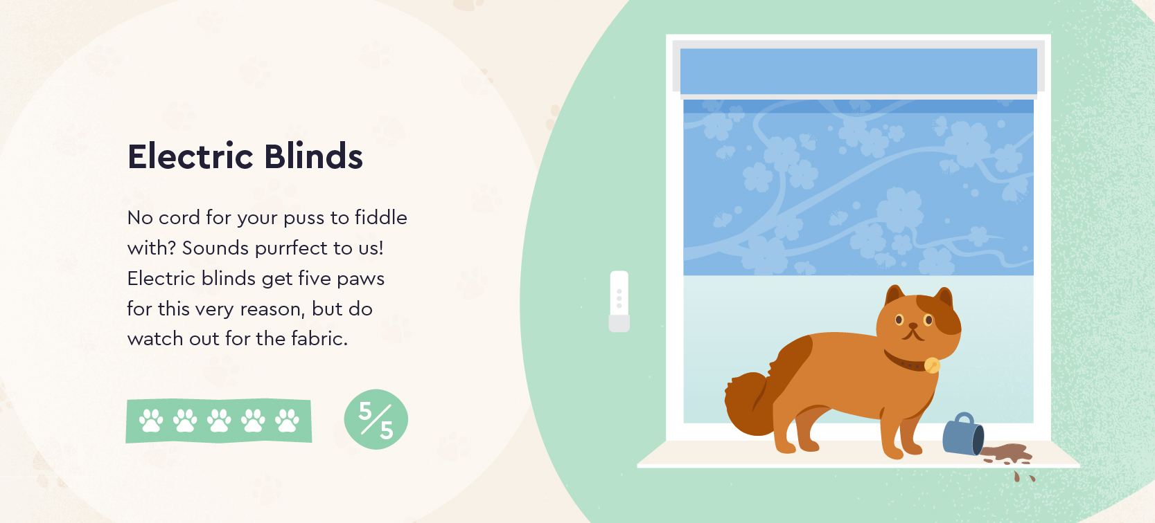 Pet Friendly Electric Blinds