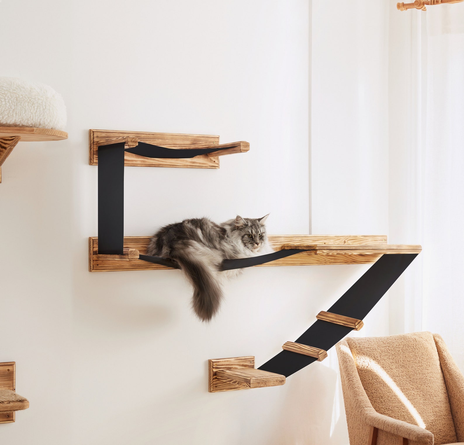 Cat Friendly Decorating Ideas - Katzenworld