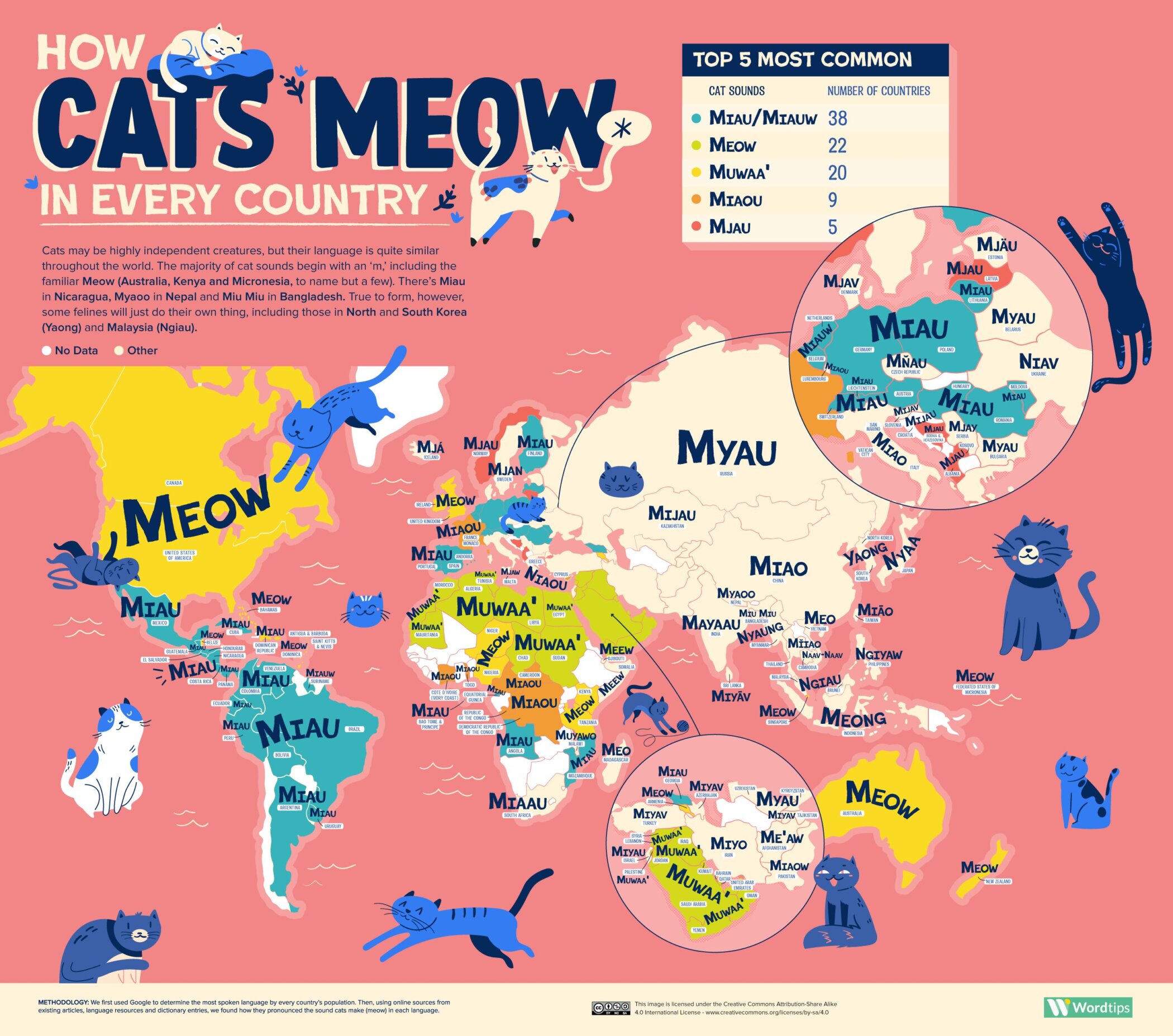 How Cats Meow And Dogs Bark In Every Country Katzenworld