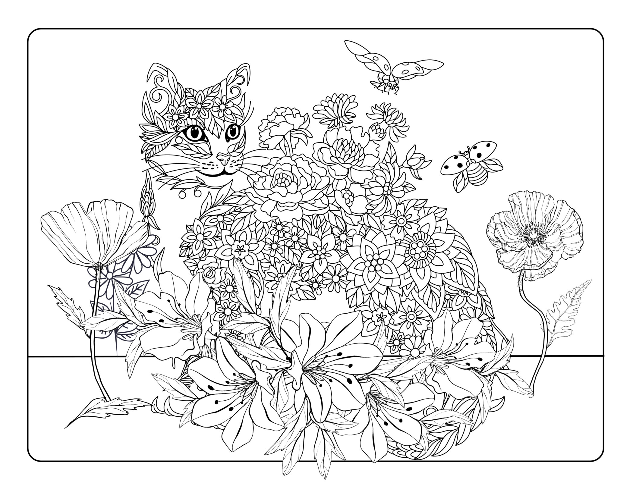 weekly-cat-word-puzzle-colouring-in-fun-katzenworld