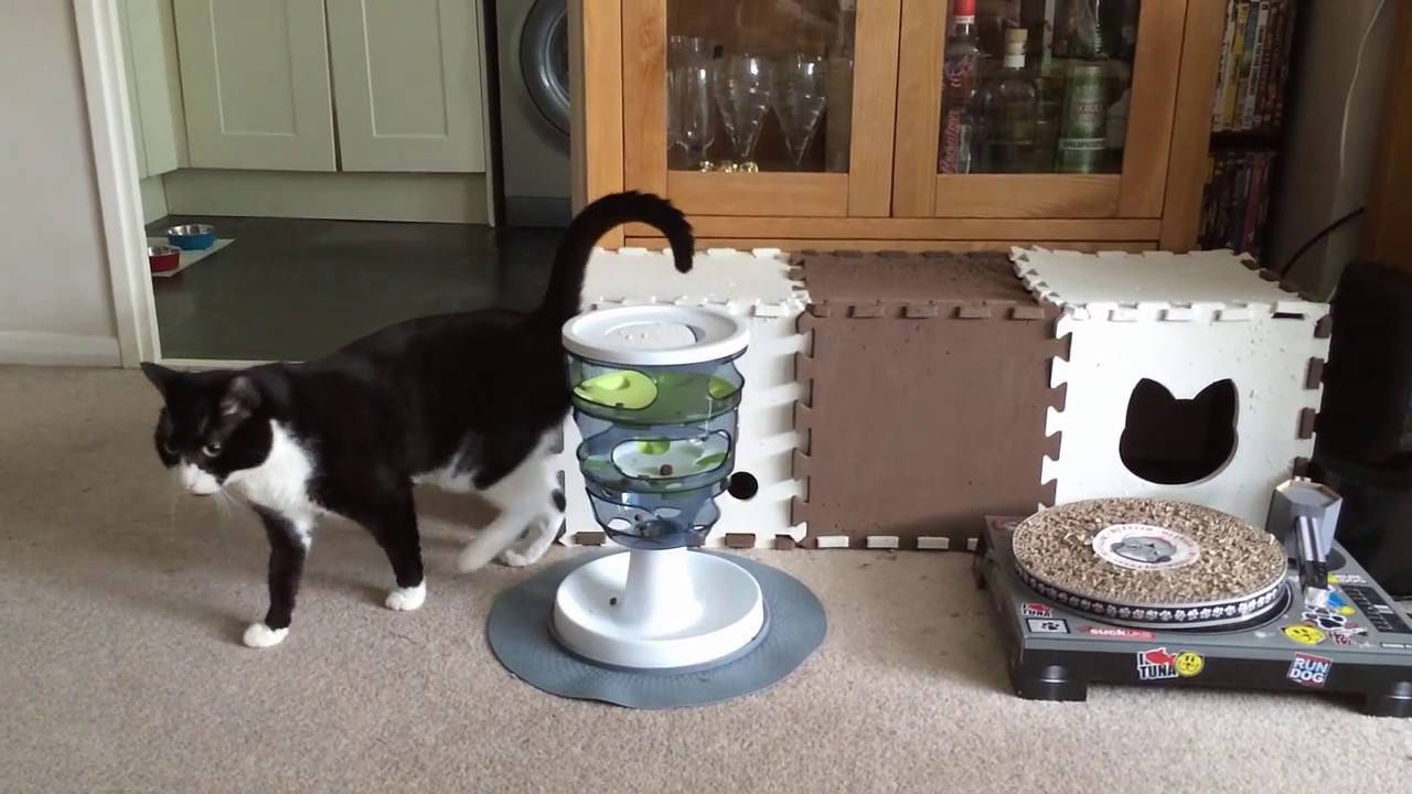 catit treat maze