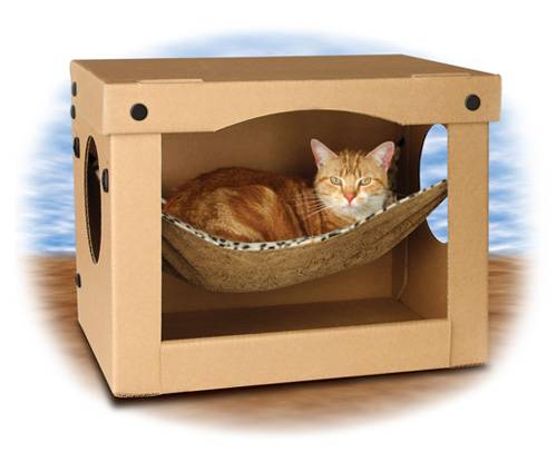cat in a box toy