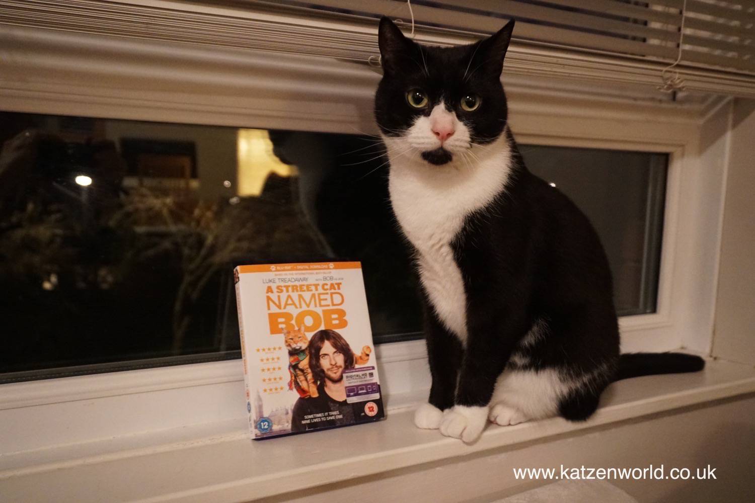 A Street Cat Named Bob the Movie! - Katzenworld